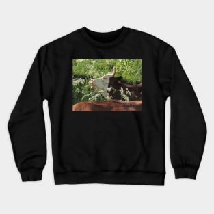 Cowparsley Feast Crewneck Sweatshirt